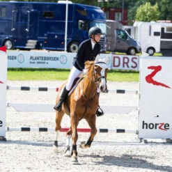 B Vertigo Tamina Show Coat -Equestrian Clothing Store 33076 vdb bs 5 23351 88448.1560467558