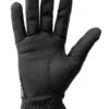 Kunkle Equestrian Premium Show Gloves -Equestrian Clothing Store premium show glove black palm kunkle 15817.1685729606